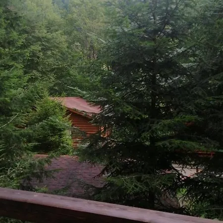 Hotel Yavir *